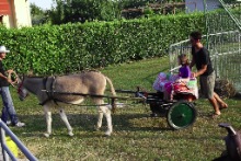 Locandina BREDASMILE 2011